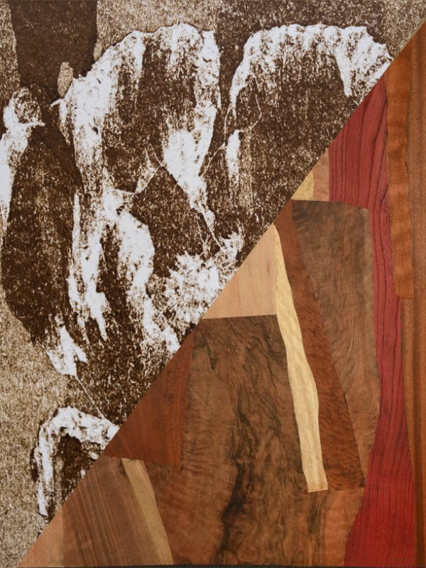 EXPOSITION – Journées Nationales des Artistes – Saint-Etienne
